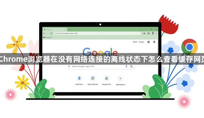 Chrome浏览器在没有网络连接的离线状态下怎么查看缓存网页1