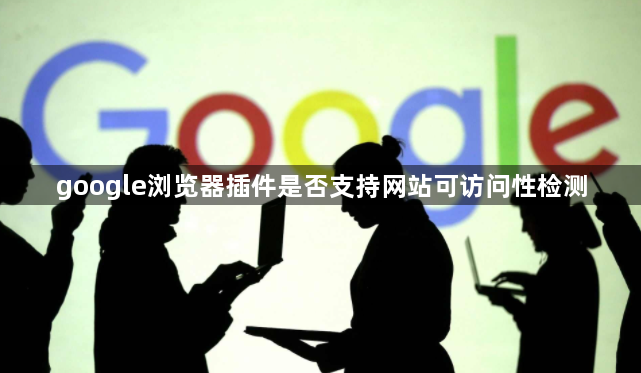 google浏览器插件是否支持网站可访问性检测1